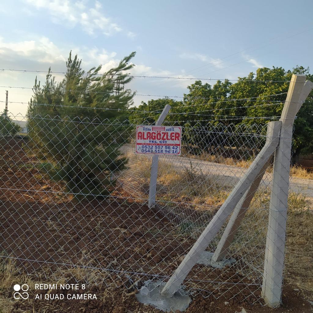 alagozler (11) alagozler (11)