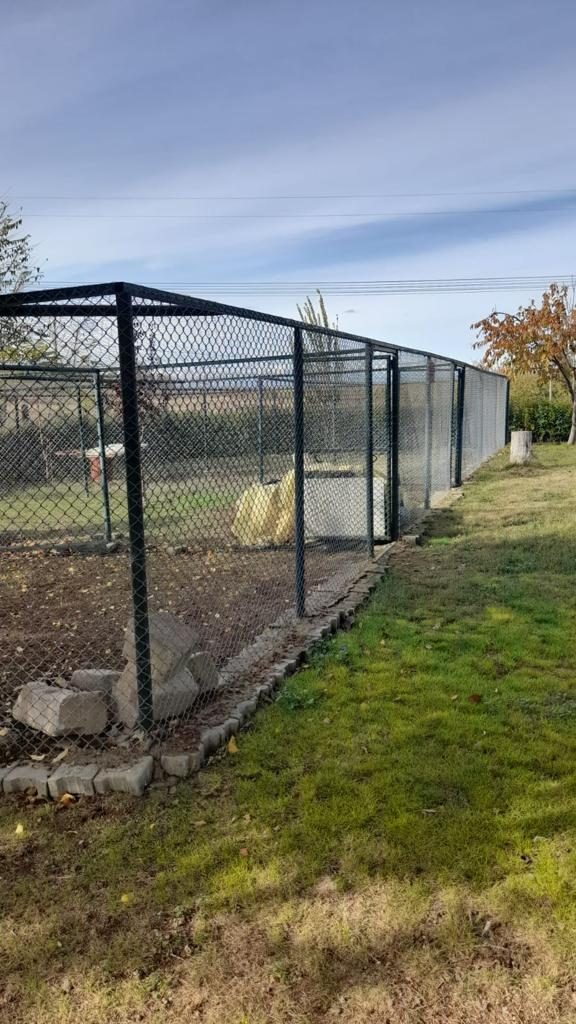 alagozler (13) alagozler (13)