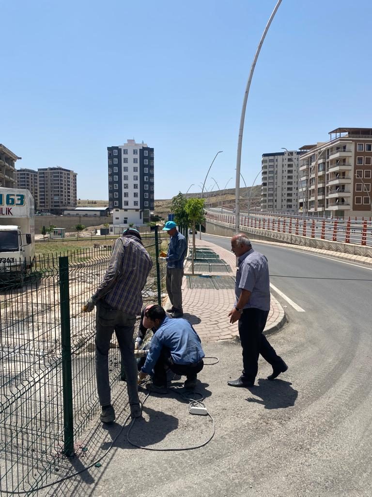 alagozler (6) alagozler (6)