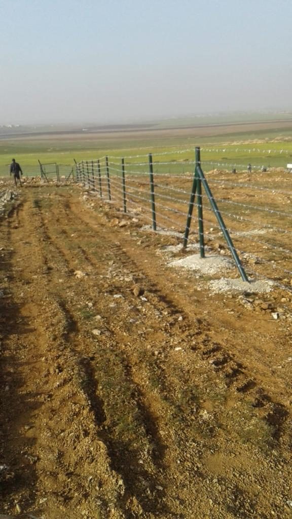 alagozler (8) alagozler (8)